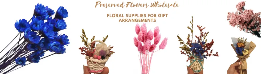 Dried flowers at the best wholesale price
